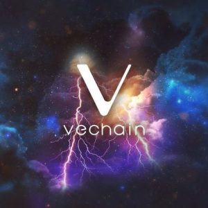 VeChain: Revolutionizing Supply Chain Management with Blockchain Technology